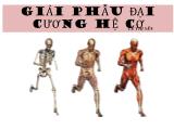 Bài giảng Giải phẫu đại cương hệ cơ
