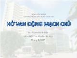 Bài giảng Hở van động mạch chủ - Phạm Minh Dân