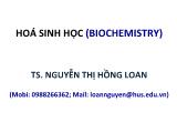 Bài giảng Hóa sinh học - Bài 1: Protein - Nguyễn Thị Hồng Loan