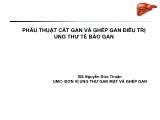 Bài giảng Phẫu thuật cắt gan và ghép gan điều trị ung thư tế bào gan