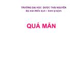 Bài giảng Quá mẫn