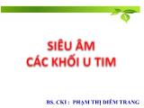 Bài giảng Siêu âm các khối u tim - Phạm Thị Diễm Trang