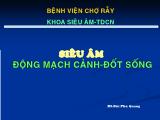 Bài giảng Siêu âm động mạch cảnh. Đốt sống