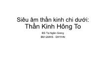 Bài giảng Siêu âm thần kinh chi dưới: Thần kinh hông to