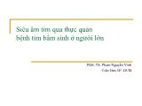 Bài giảng Siêu âm tim qua thực quản bệnh tim bẩm sinh ở người lớn