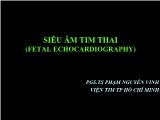Bài giảng Siêu âm tim thai - Phạm Nguyễn Vinh