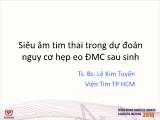 Bài giảng Siêu âm tim thai trong dự đoán nguy cơ hẹp eo ĐMC sau sinh