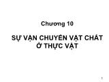Bài giảng Sinh học đại cương - Chương 10: Sự vận chuyển vật chất ở thực vật - Võ Thanh Phúc