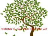 Bài giảng Sinh học đại cương - Chương 12: Cấu trúc của thực vật - Võ Thanh Phúc