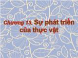 Bài giảng Sinh học đại cương - Chương 13: Sự phát triển của thực vật - Võ Thanh Phúc