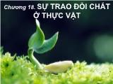 Bài giảng Sinh học đại cương - Chương 14: Sự trao đổi chất ở thực vật - Võ Thanh Phúc