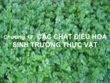 Bài giảng Sinh học đại cương - Chương 15: Các chất điều hoà sinh trưởng thực vật - Võ Thanh Phúc