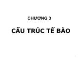 Bài giảng Sinh học đại cương - Chương 3: Cấu trúc tế bào - Võ Thanh Phúc