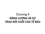 Bài giảng Sinh học đại cương - Chương 4: Năng lượng và sự trao đổi chất của tế bào - Võ Thanh Phúc
