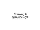 Bài giảng Sinh học đại cương - Chương 6: Quang hợp - Võ Thanh Phúc