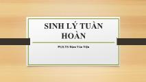 Bài giảng Sinh lý tuần hoàn - Đàm Văn Tiện