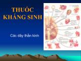 Bài giảng Thuốc kháng sinh