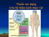 Bài giảng Thuốc tác dụng trên hệ thần kinh thực vật