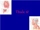 Bài giảng Thuốc tê