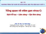 Bài giảng Tổng quan về viêm gan virus C: Dịch tễ học – lâm sàng – cận lâm sàng
