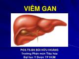 Bài giảng Viêm gan - Bùi Hữu Hoàng