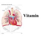 Bài giảng Vitamin