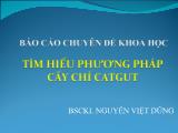 Báo cáo Tìm hiểu phương pháp cấy chỉ Catgut