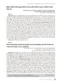Bệnh thần kinh ngoại biên và các yếu tố liên quan ở bệnh nhân hóa trị