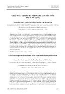 Chiết xuất Gluten từ bột lúa mì cho sản xuất bao bì ăn được