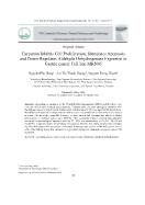 Curcumin ức chế sự tăng sinh, cảm ứng apoptosis và làm giảm sự biểu hiện của aldehyde dehydrogenase ở tế bào ung thư dạ dày MKN45