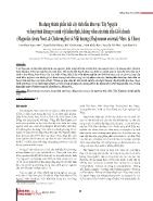 Đa dạng thành phần loài cây tinh dầu khu vực Tây Nguyên và hoạt tính kháng vi sinh vật kiểm định, kháng viêm của tinh dầu Giổi chanh (Magnolia citrata Noot. & Chalermglin) và Mật hương (Hedyosmum orientale Merr. & Chun)