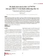 Đa hình đơn nucleotide RS1799794 của gen XRCC3 trên bệnh nhân ung thư vú