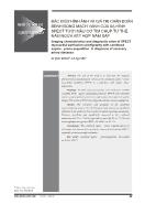 Đặc điểm hình ảnh và giá trị chẩn đoán bệnh động mạch vành của xạ hình Spect tưới máu cơ tim chụp tư thế nằm ngửa kết hợp nằm sấp