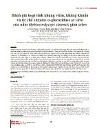 Đánh giá hoạt tính kháng viêm, kháng khuẩn và ức chế enzyme α-Glucosidase in vitro của nấm Ophiocordyceps sinensis giàu selen