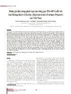 Đánh giá khả năng phân loại của vùng gen ITS-RDNA đối với loài Hoàng liên ô rô lá dày (Mahonia bealei (Fortune) Pynaert)