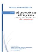 Đề cương ôn thi hết học phần môn Ngoại khoa thú y thực hành - Năm học 2013-2014