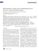 Định danh phân tử và khảo sát đặc tính kháng kháng sinh của Streptococcus gây viêm họng cấp ở người