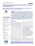 Four flavonols from the seed of Hibiscus sabdariffa Linn growing in Binh Thuan province