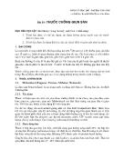 Giáo trình Dược lí học - Bài 19: Thuốc chống giun sán