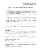 Giáo trình Dược lí học - Bài 27: Thuốc điều chỉnh rối loạn tiêu hóa