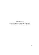 Giáo trình Kỹ thuật trồng một số cây thuốc