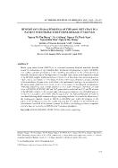 Hereditary characteristics of the s339l mutation in a patient with maple syrup urine disease in Viet Nam