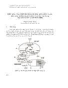 Hiệu quả của chất kìm hãm hô hấp ánh sáng Na₂SO₃ đến quá trình quang hợp của cây cà chua