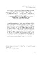 H₂O₂ production in lactobacillus strains isolated from the intestinal microbiome of healthy people