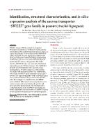 Identification, structural characterization, and in silico expression analysis of the sucrose transporter ‘SWEET’ gene family in peanut (Arachis hypogaea)