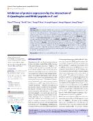 Inhibition of protein expression by the interaction of G-Quadruplex and RHAU peptide in E. coli