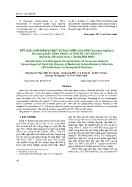 Kết quả giám định và một số đặc điểm của nấm fusarium fujikuroi nirenberg gây bệnh vàng lá thối rễ cây ba kích (morinda officinalis how) tại Quảng Ninh