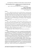 Khả năng phân giải Ligno - Xenluloza của một số chủng nấm thuộc lớp basidiomycetes