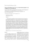 Khảo sát mối liên quan của SLC2A9 rs12510549 với nồng độ Uric Acid và bệnh gút ở người Việt Nam