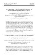 Lên men lactic tạo đồ uống giàu probiotic từ thanh long ruột trắng (hylocereus undatus)